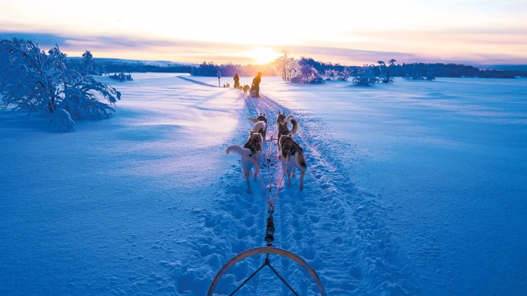 Trendtours Winterzauber_In_Finnland